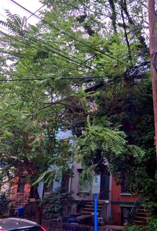 220 Garden Street Hoboken NJ 07030
