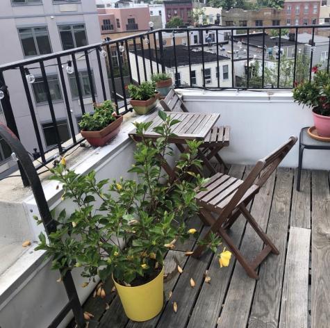 343 4th Street Jersey City NJ 07302