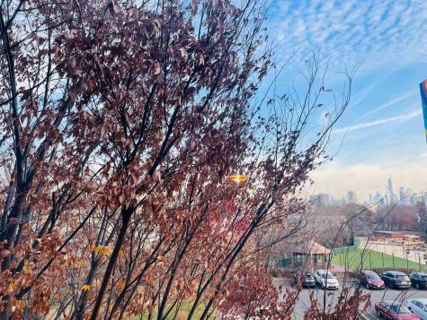 201 Street Pauls Avenue Jersey City NJ 07306