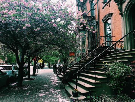 204 Washington Street Jersey City NJ 07302