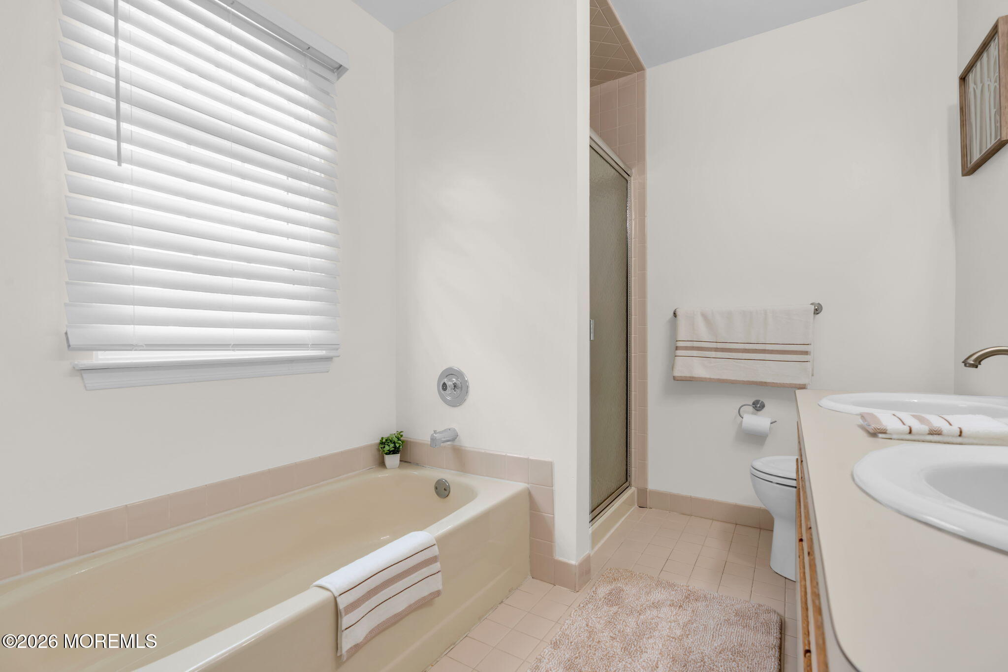 12 Munsee Trail Branchburg NJ 08876