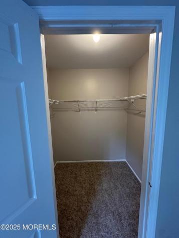 1508 Alpine Trail Neptune Township NJ 07753