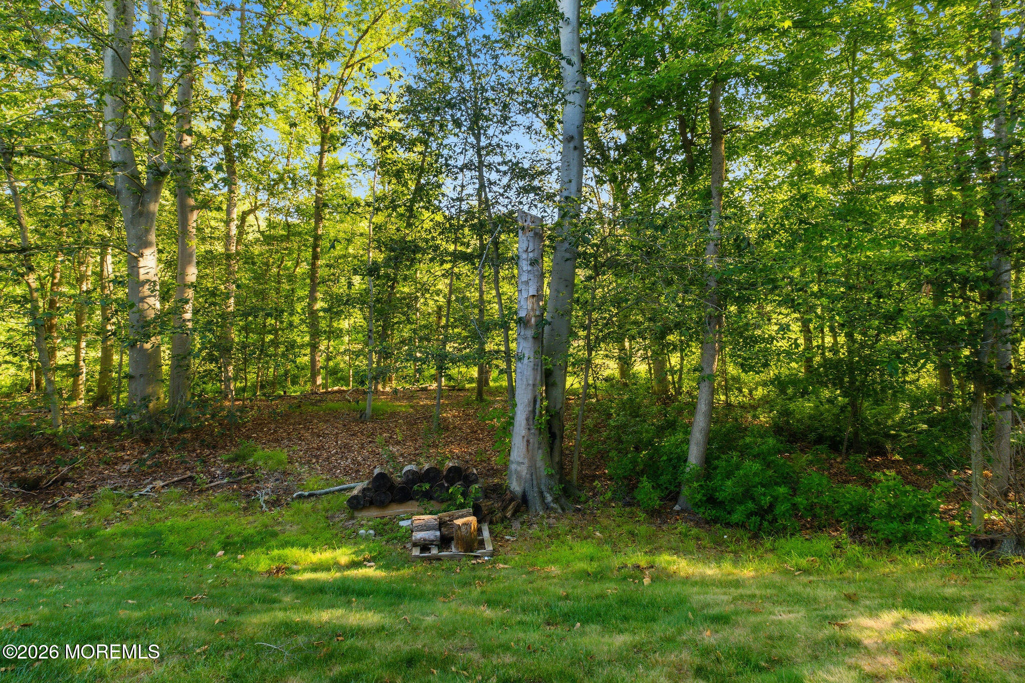 267 Century Way Manalapan NJ 07726