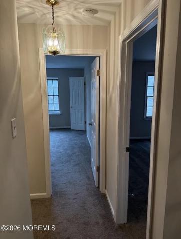 36 Whitemarsh Court Little Egg Harbor NJ 08087