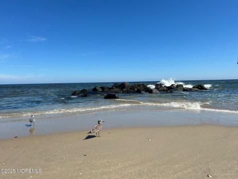 3 5th Avenue Neptune City NJ 07753