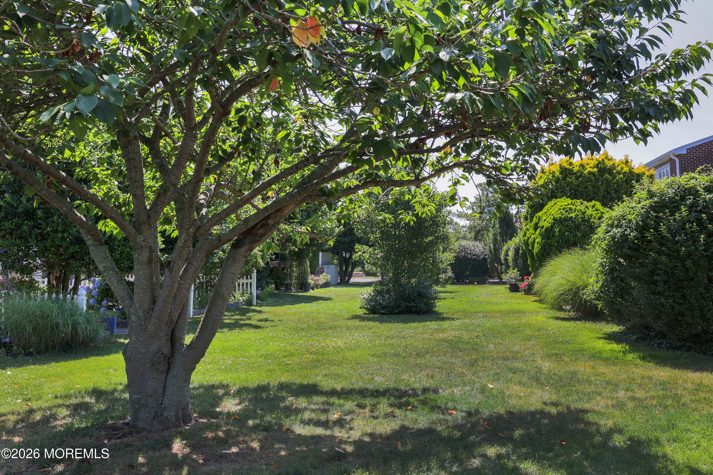 25 Meadow Avenue Monmouth Beach NJ 07750