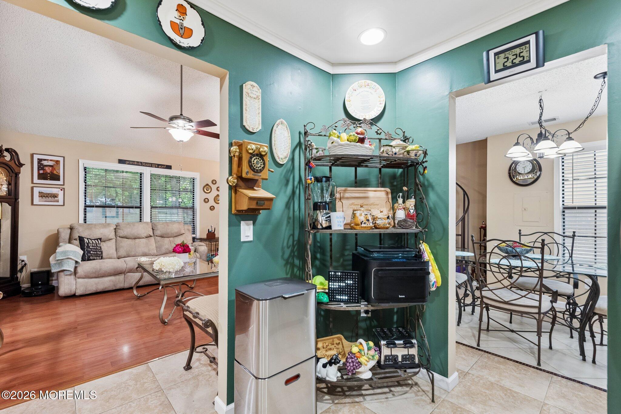 204 Daffodil Drive Jackson NJ 08527
