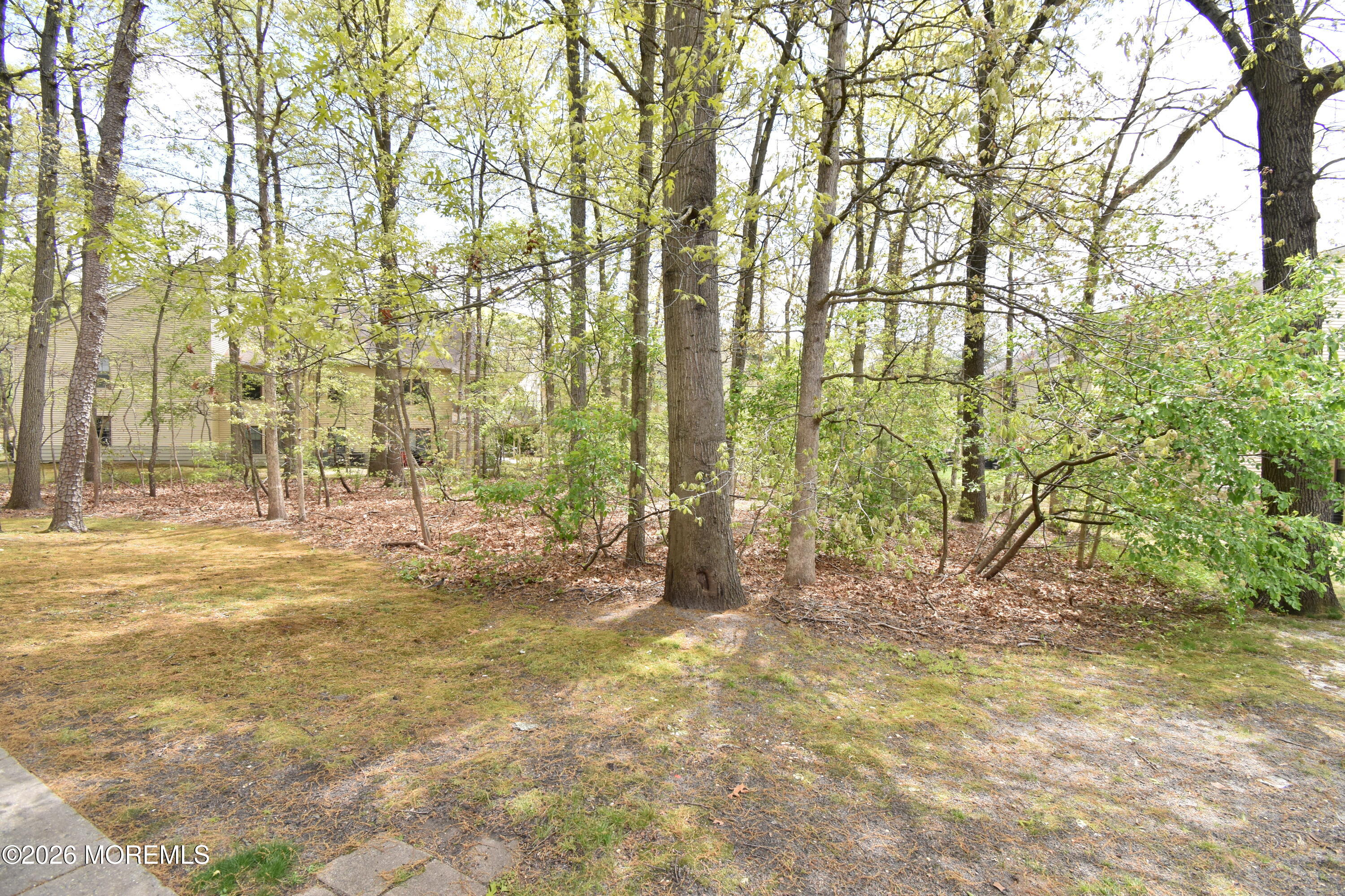 603 Bromelia Court Jackson NJ 08527