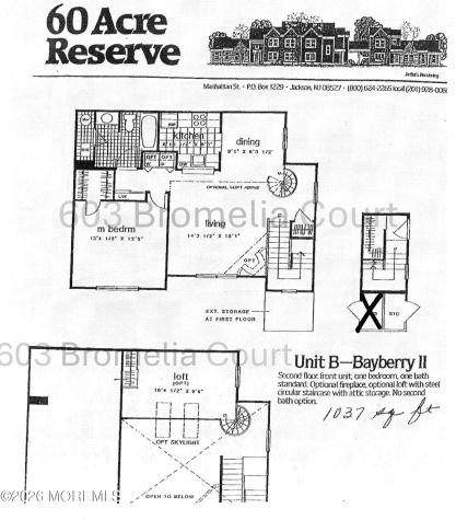 603 Bromelia Court Jackson NJ 08527