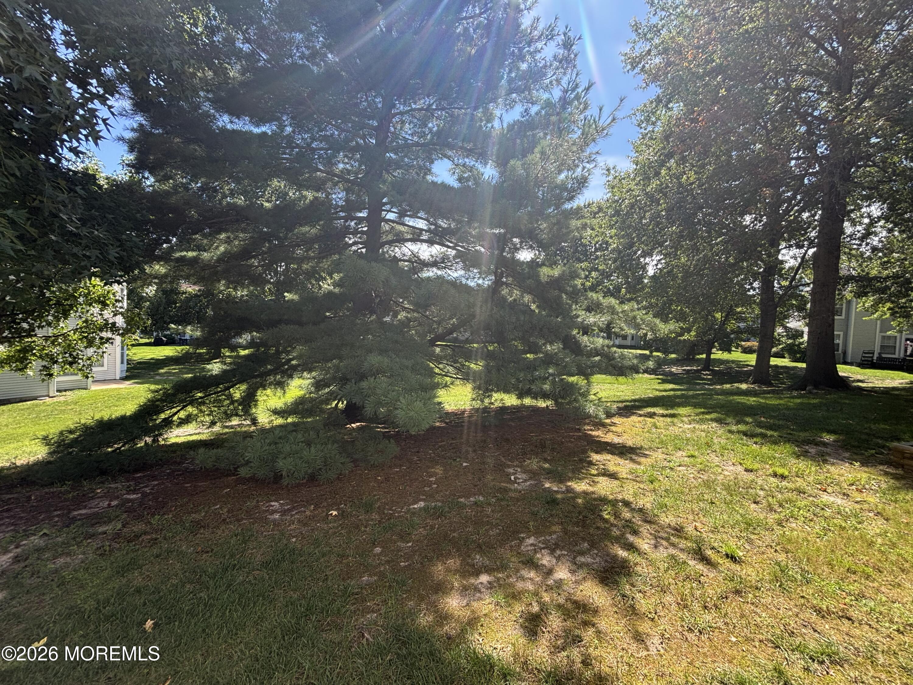15 Saddle Court Tinton Falls NJ 07753