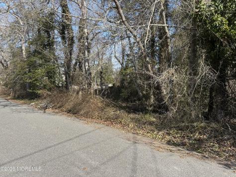 53 Bonita Road Waretown NJ 08758