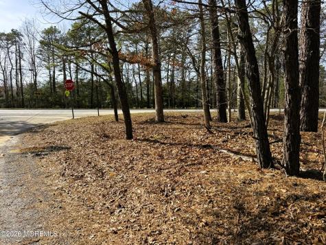 3 Pinewood Drive Little Egg Harbor NJ 08087