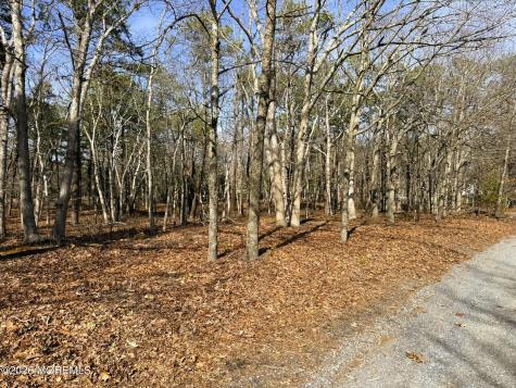 3 Pinewood Drive Little Egg Harbor NJ 08087
