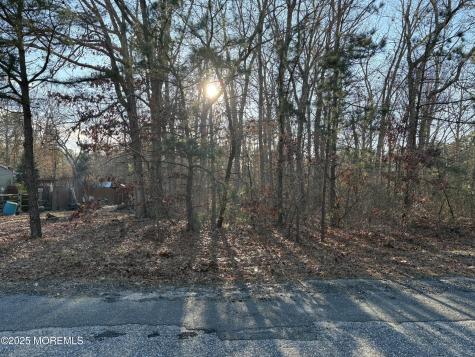 46 Harpoon Drive Barnegat NJ 08005