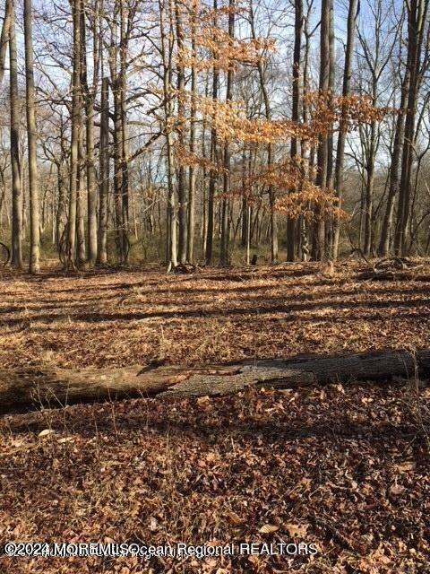 45 Iron Ore Road Manalapan NJ 07726