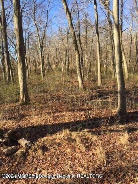 45 Iron Ore Road Manalapan NJ 07726