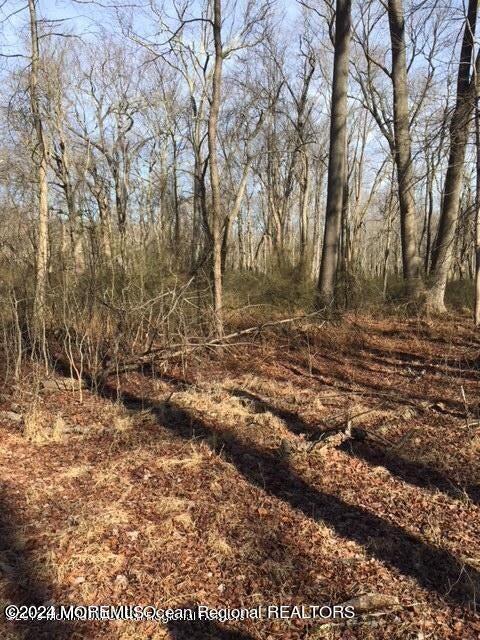 45 Iron Ore Road Manalapan NJ 07726