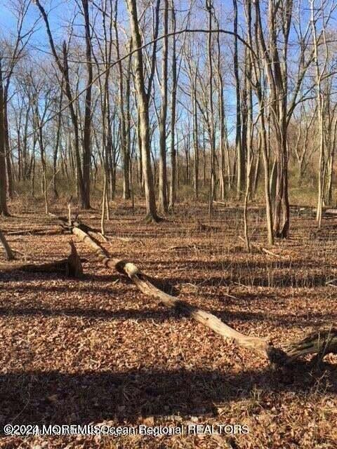 45 Iron Ore Road Manalapan NJ 07726