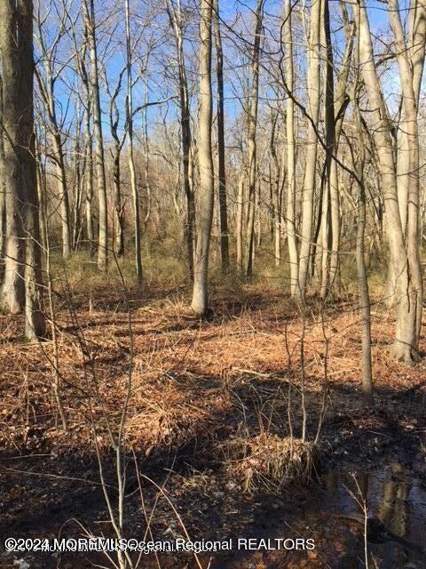 45 Iron Ore Road Manalapan NJ 07726