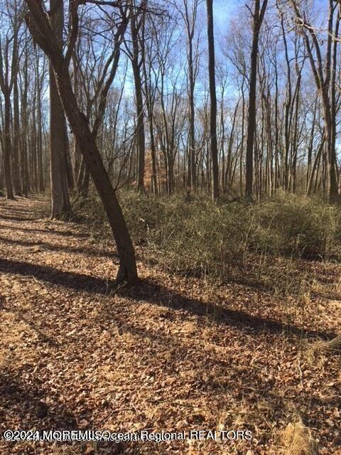 45 Iron Ore Road Manalapan NJ 07726