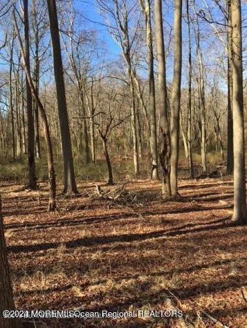 45 Iron Ore Road Manalapan NJ 07726