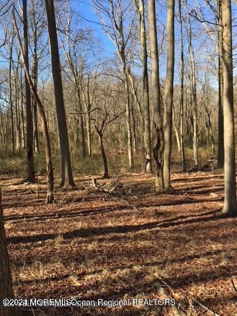 45 Iron Ore Road Manalapan NJ 07726