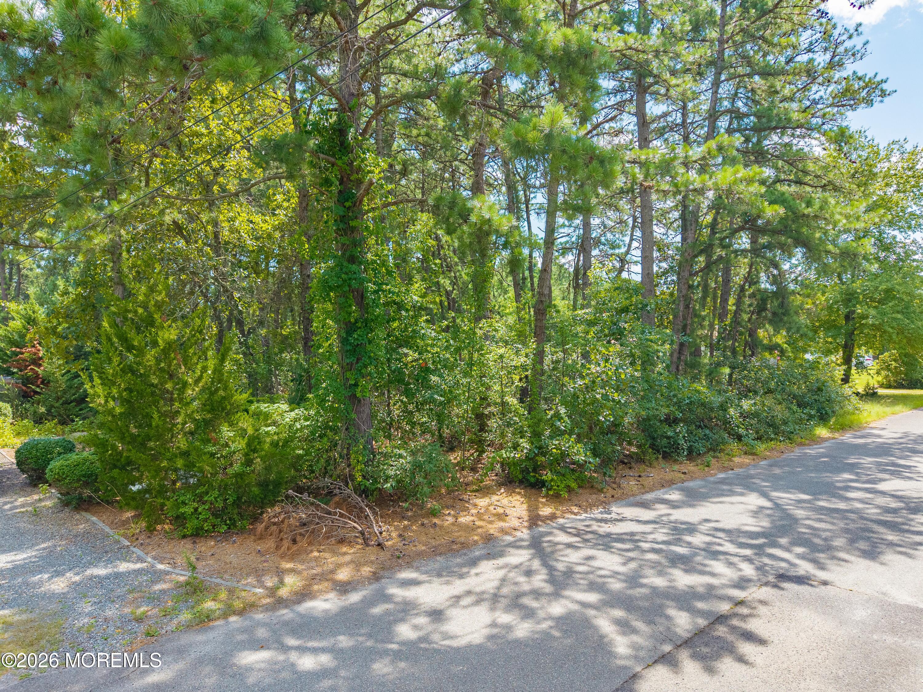 0 Capshaw Road Forked River NJ 08731