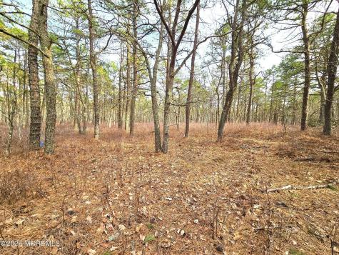0 Birchwood Drive Tuckerton NJ 08087
