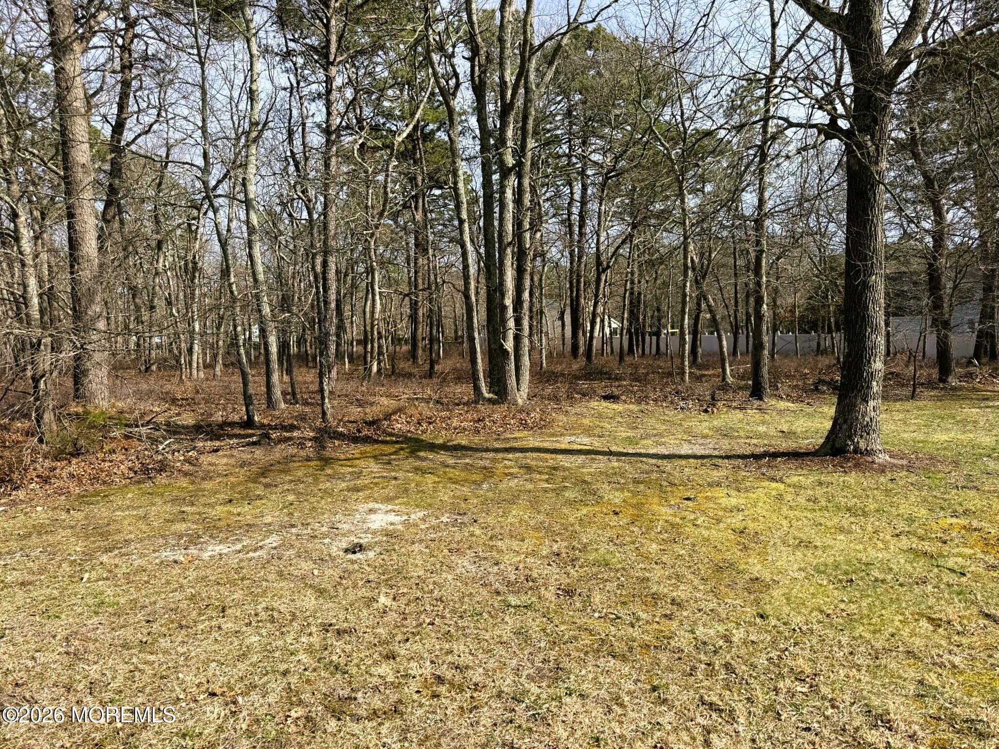 18 Pinewood Drive Little Egg Harbor NJ 08087