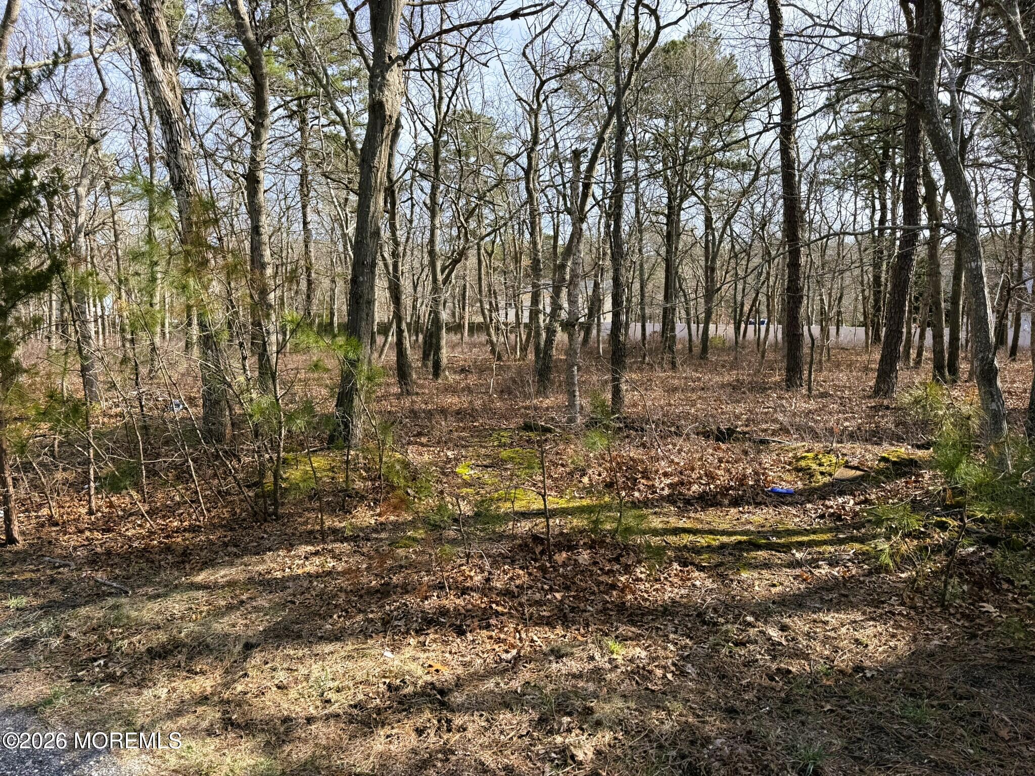 18 Pinewood Drive Little Egg Harbor NJ 08087