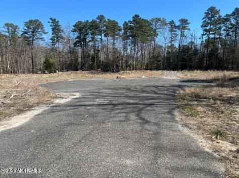 10 Welch Court Little Egg Harbor NJ 08087