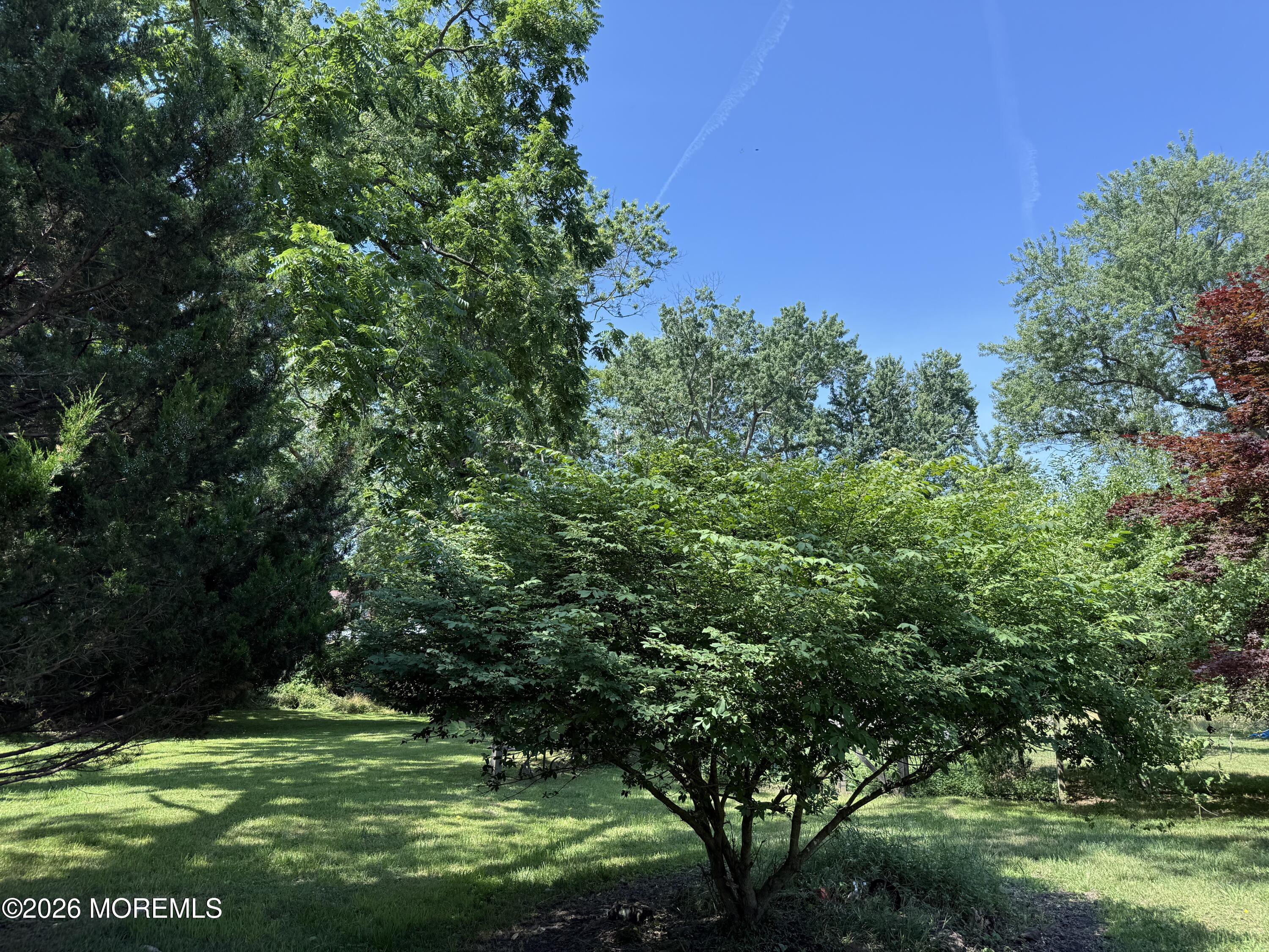 729 Wayside Road Neptune Township NJ 07753