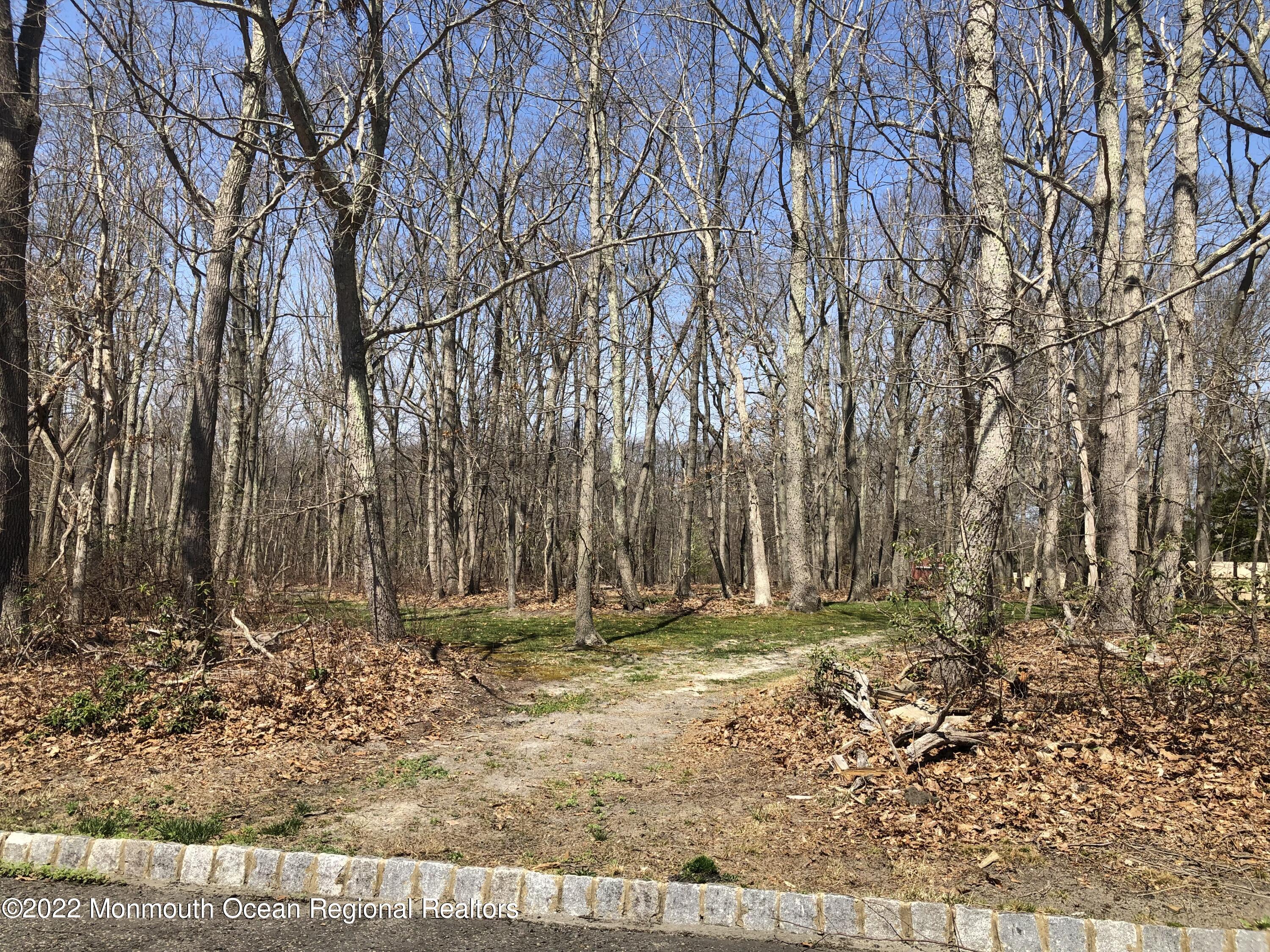 4 Kimberly Court Millstone NJ 08510