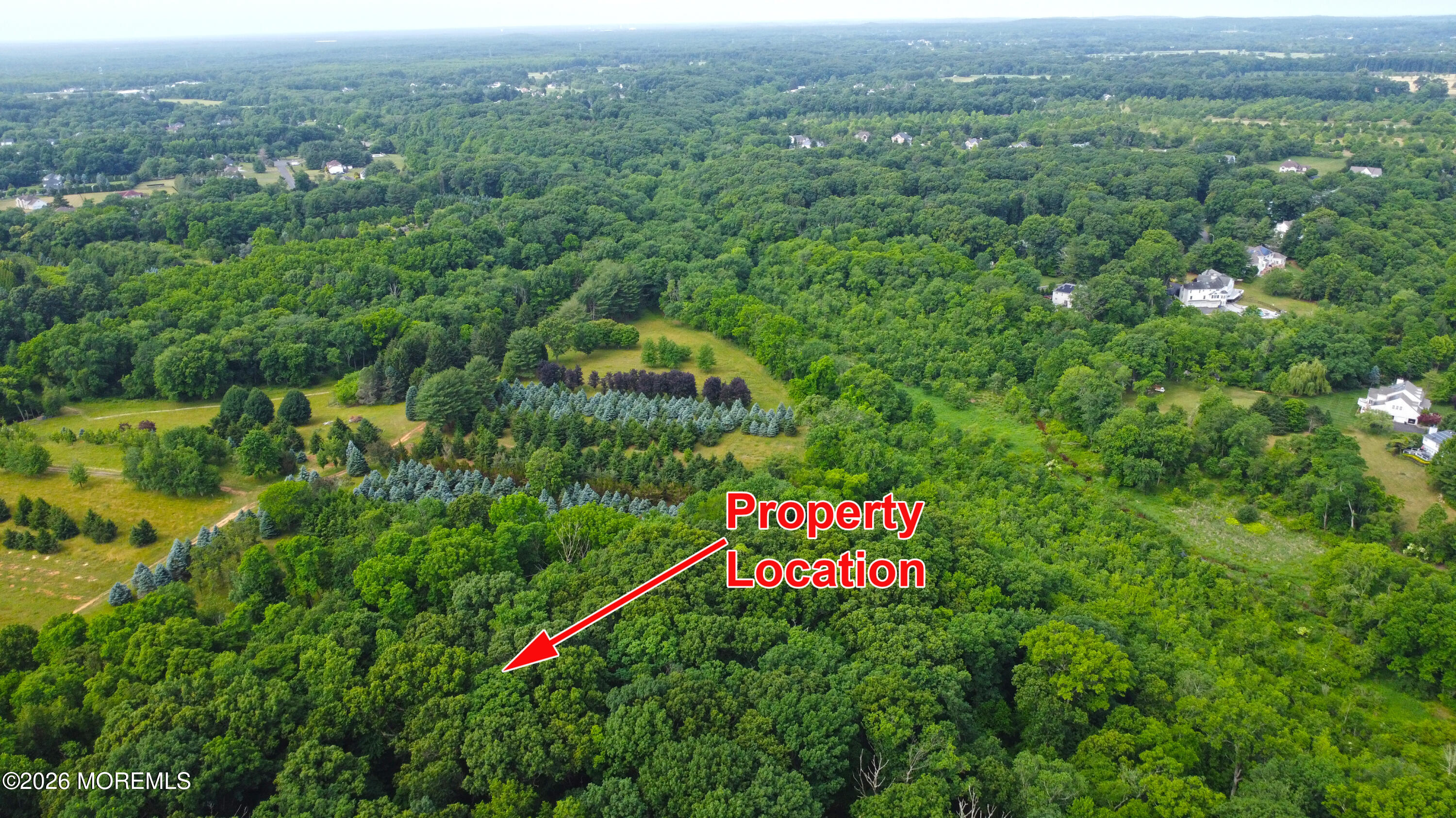 11 Mill Road Manalapan NJ 07726