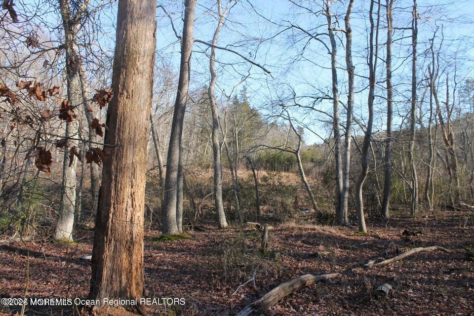 217 Brookville Road Lacey NJ 08734