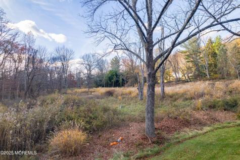 3 Old Orchard Terrace Mendham NJ 07945