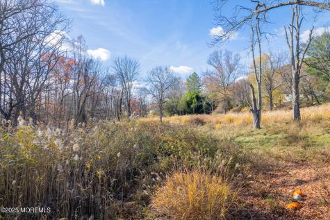 3 Old Orchard Terrace Mendham NJ 07945