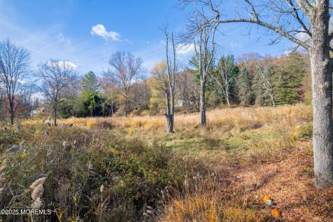 3 Old Orchard Terrace Mendham NJ 07945