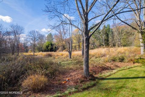 3 Old Orchard Terrace Mendham NJ 07945
