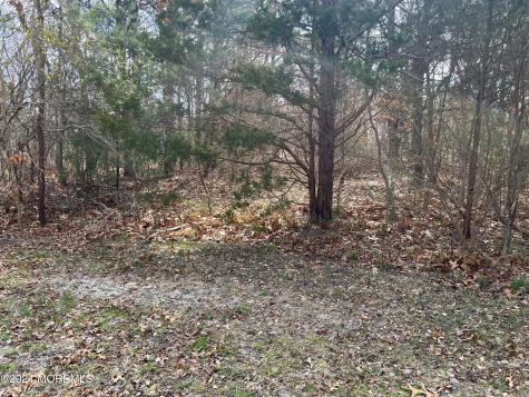 68 Memorial Drive Barnegat NJ 08005