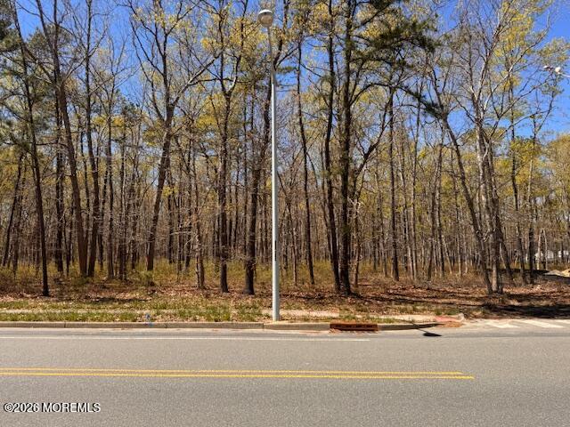 0 Newark Avenue Forked River NJ 08731