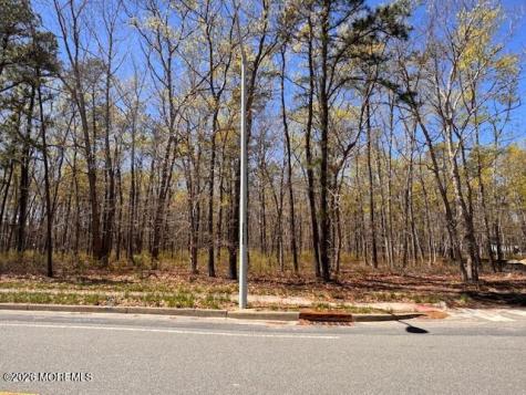 0 Newark Avenue Forked River NJ 08731