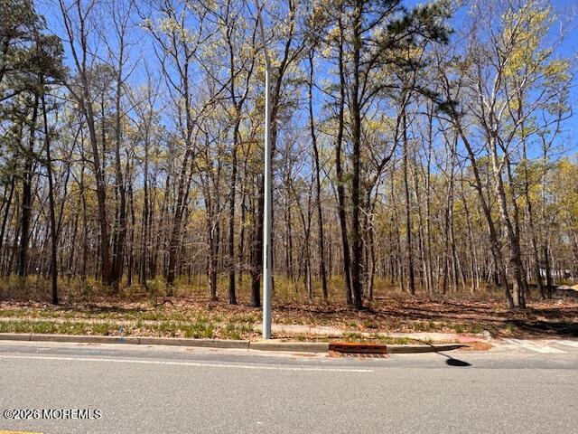 0 Newark Avenue Forked River NJ 08731