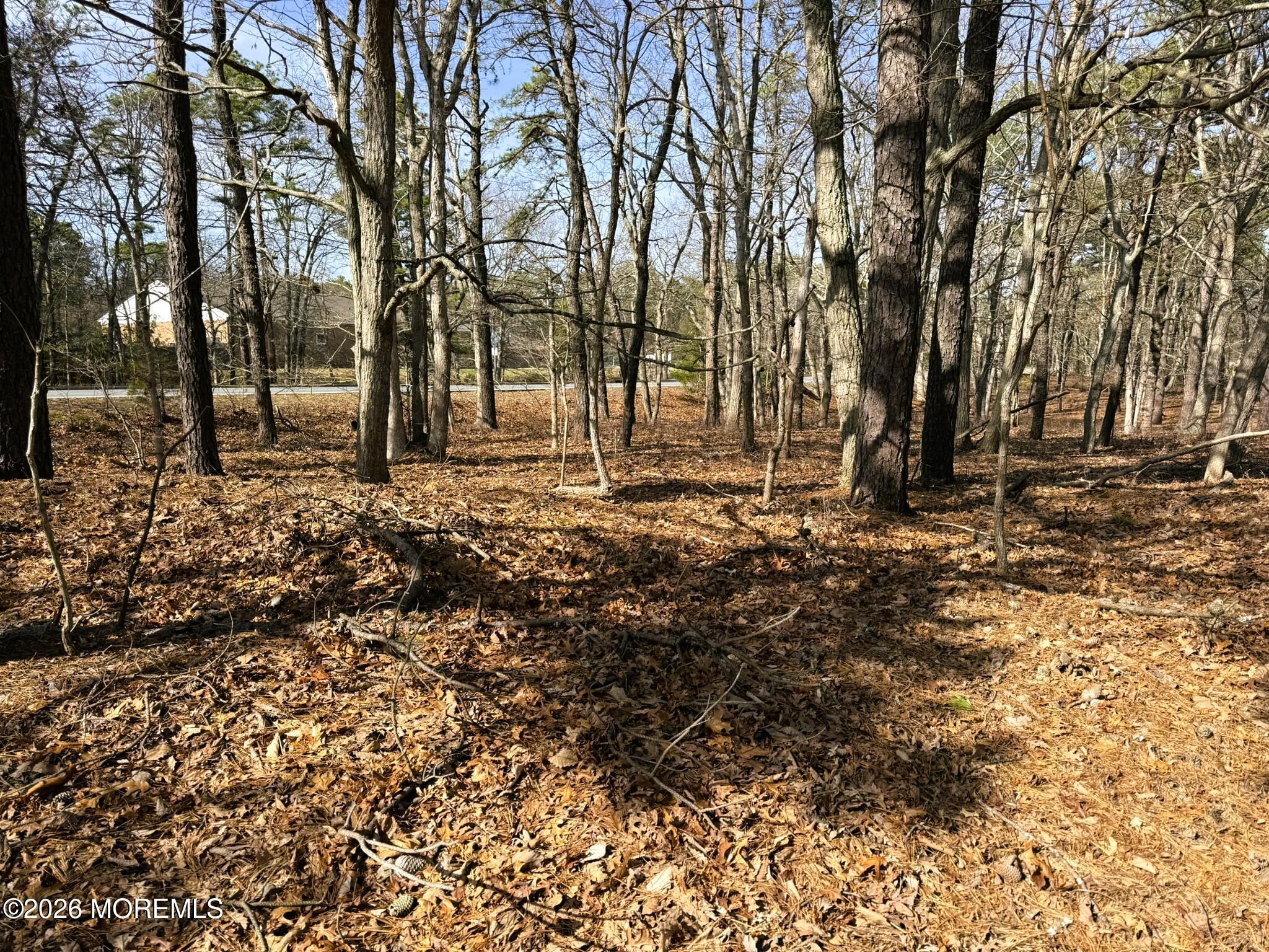 17 Pinewood Drive Little Egg Harbor NJ 08087