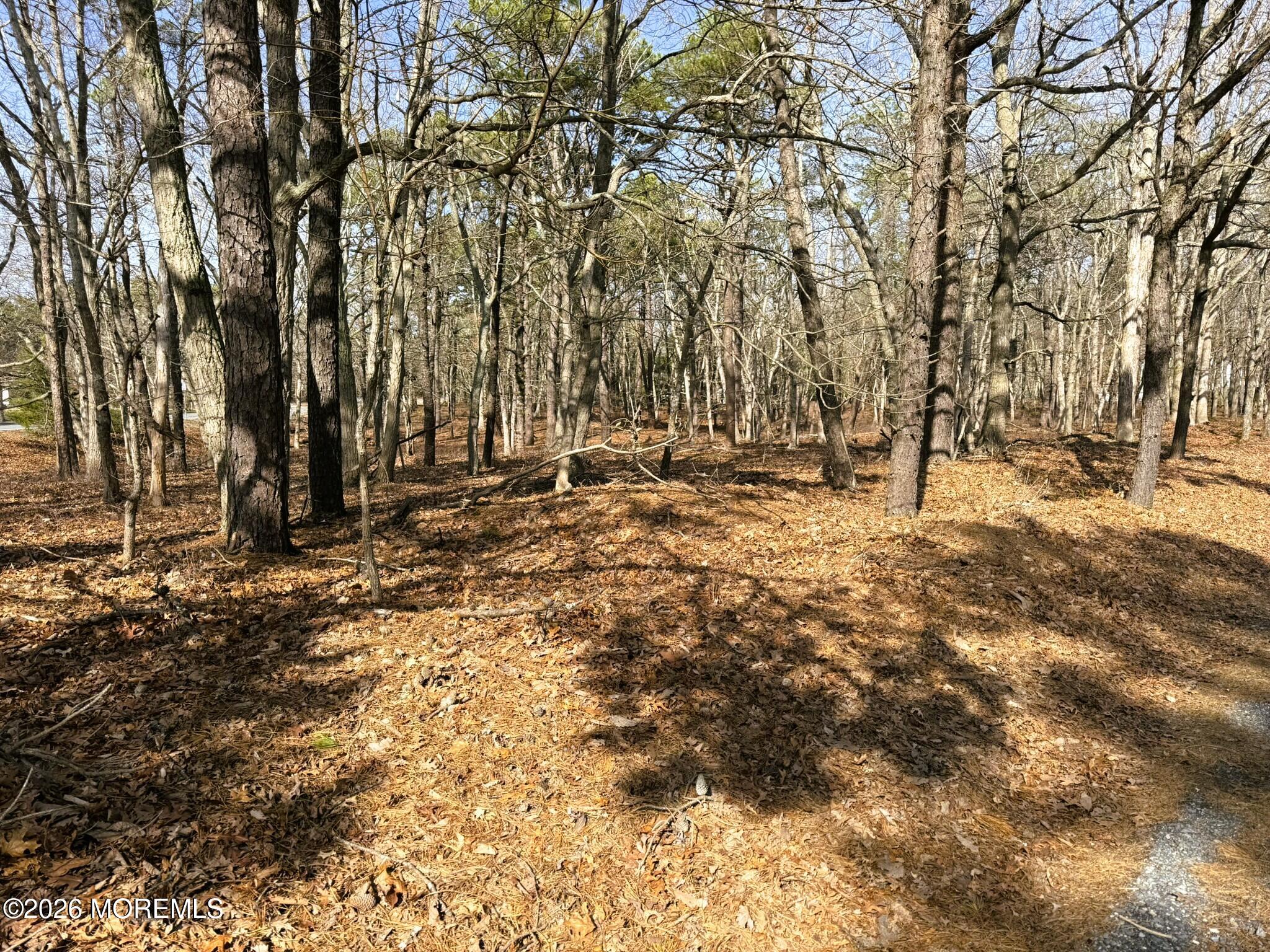 17 Pinewood Drive Little Egg Harbor NJ 08087