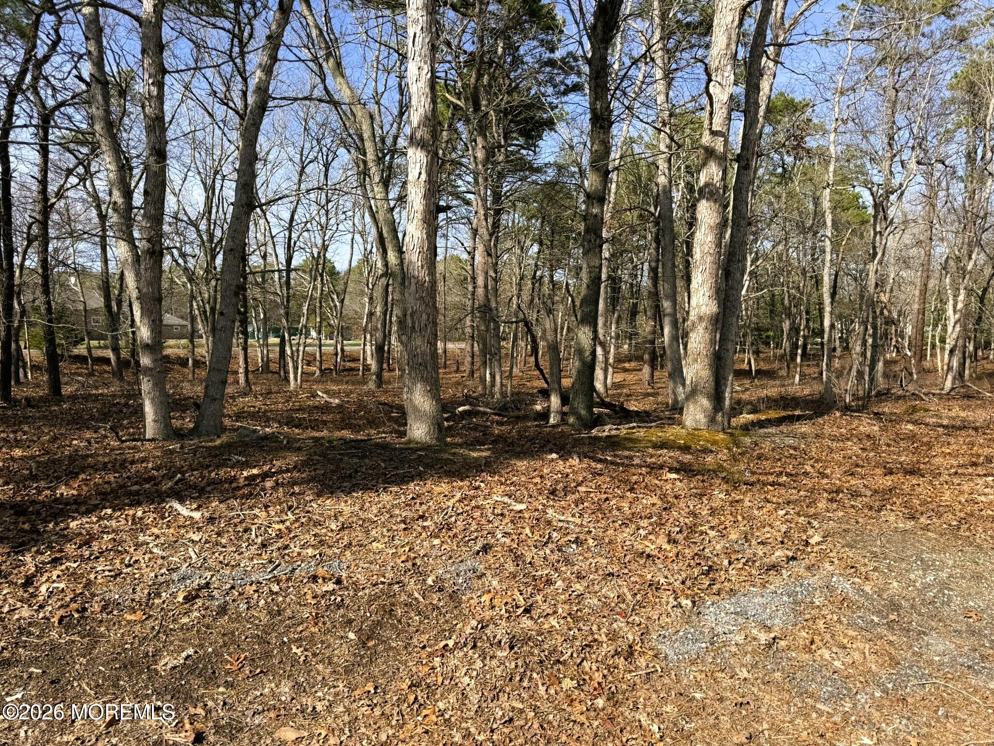 17 Pinewood Drive Little Egg Harbor NJ 08087