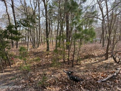 16 Pinewood Drive Little Egg Harbor NJ 08087