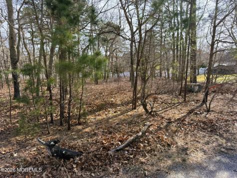 16 Pinewood Drive Little Egg Harbor NJ 08087