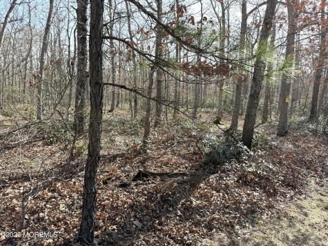 0 Cedar Bridge Road Barnegat NJ 08005