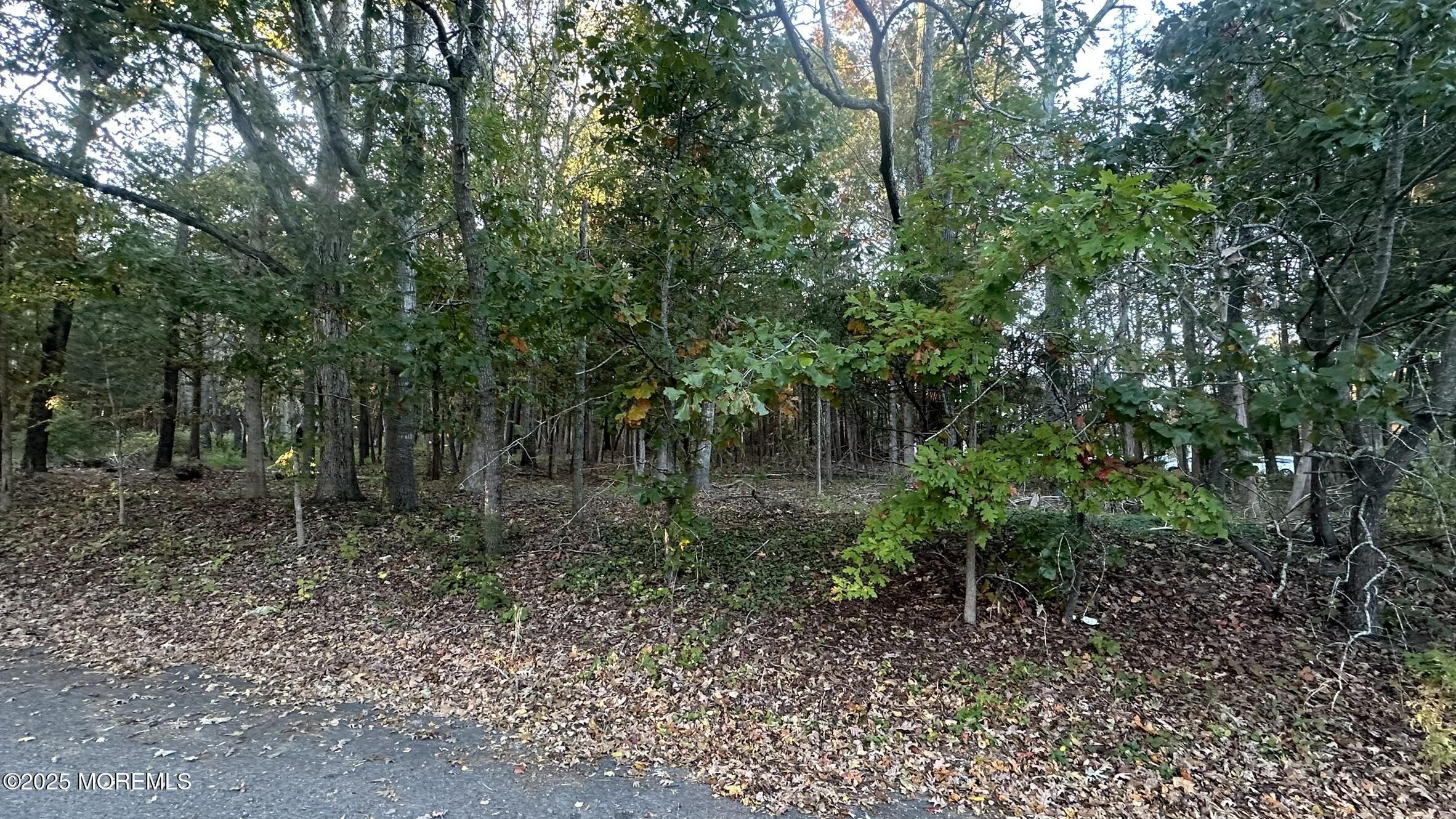 1076 S Main Street West Creek NJ 08092